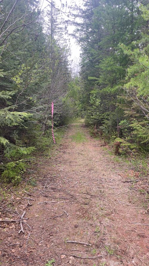 3084 Trimble Creek Rd, Cusick, WA, 99119 | Card Image