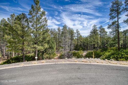 2245 S Columbine Ct, Show Low, AZ, 85901-3798 | Card Image