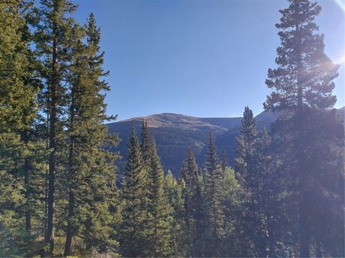 1062 Roberts Road, ALMA, CO, 80420 | Card Image