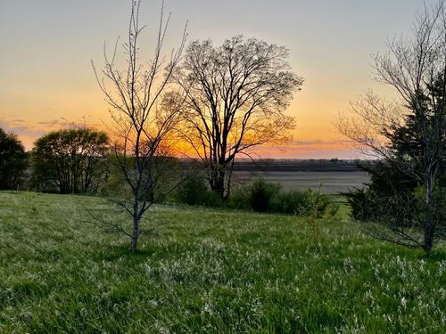 Lot 59 Deer Valley Dr, DEER GROVE, IL, 61243 | Card Image