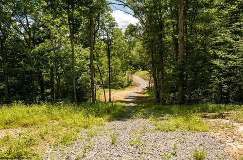 Lot 21 Lake Island Dr, Belington, WV, 26250 | Card Image