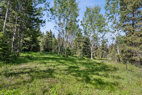 TBD Smokey Mountain Drive, Anaconda, MT, 59711 | Card Image