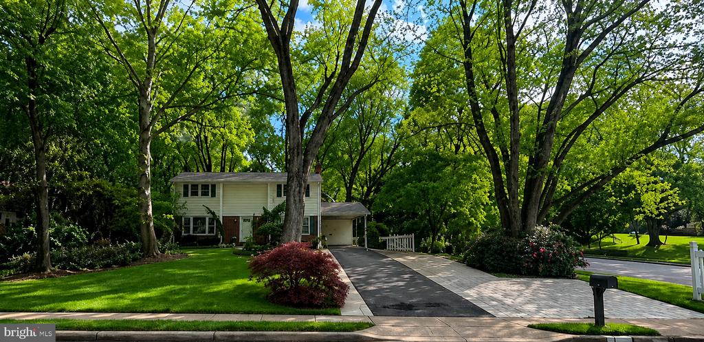 Residential in SPRINGFIELD 5