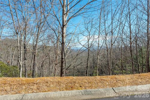 108-99999 Mills River Way, Horse Shoe, NC, 28742 | Card Image