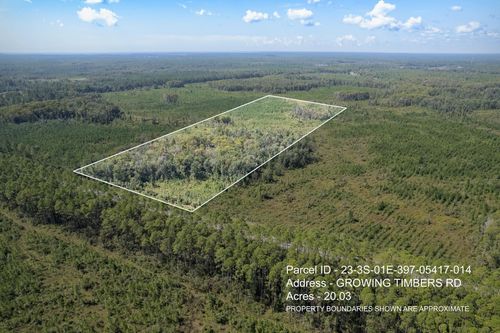 Lot 6 Rock Crusher Rd, CRAWFORDVILLE, FL, 32327-1747 | Card Image