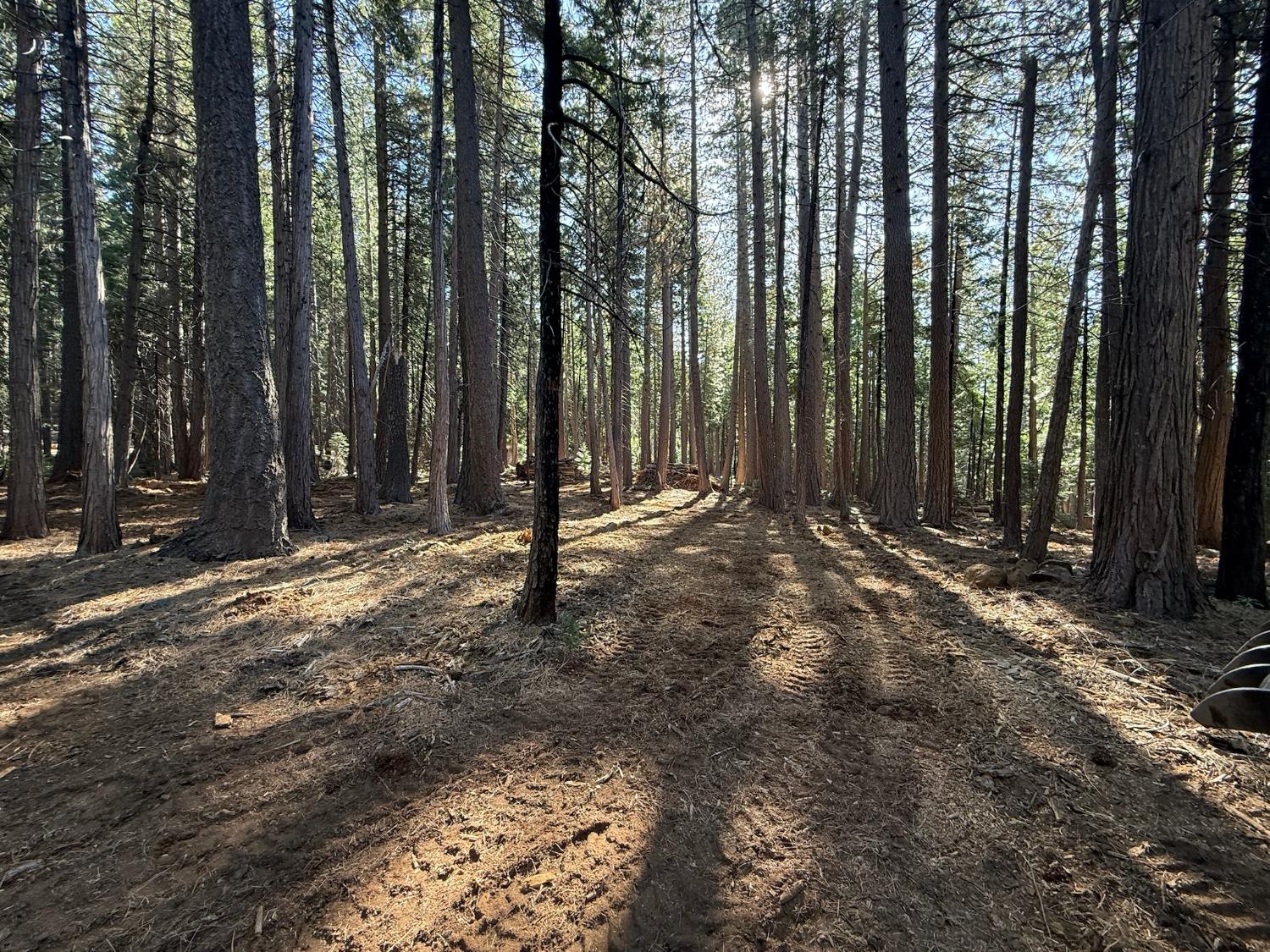 Land in Nevada City 5
