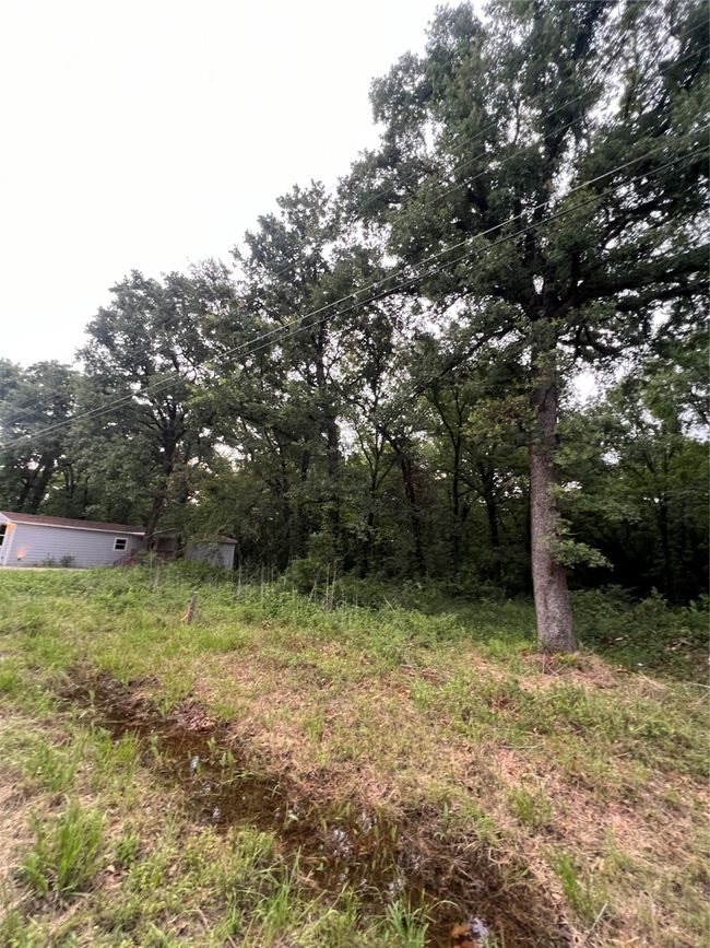 View of yard | Image 4