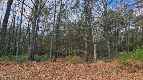 Lot 59 Perry Pond Road, Narrowsburg, NY, NY, 12764 | Card Image