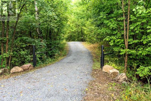 534 Oak Bluffs Rd, Maberly, ON, K0H2B0 | Card Image