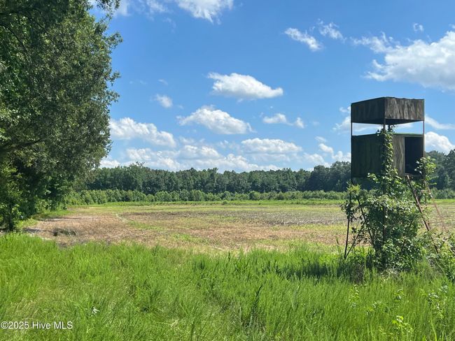 3 - 6639 Stokestown St John Rd, Home with 0 bedrooms, 0 bathrooms and null parking in Ayden NC | Image 4