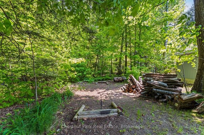 199 Long Point Rd, House other with 2 bedrooms, 1 bathrooms and 4 parking in Utterson ON | Image 37