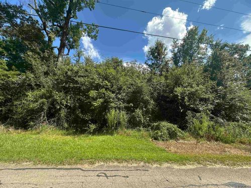 lot 23-A Gunboat Island Cir, Maurepas, LA, 70449 | Card Image