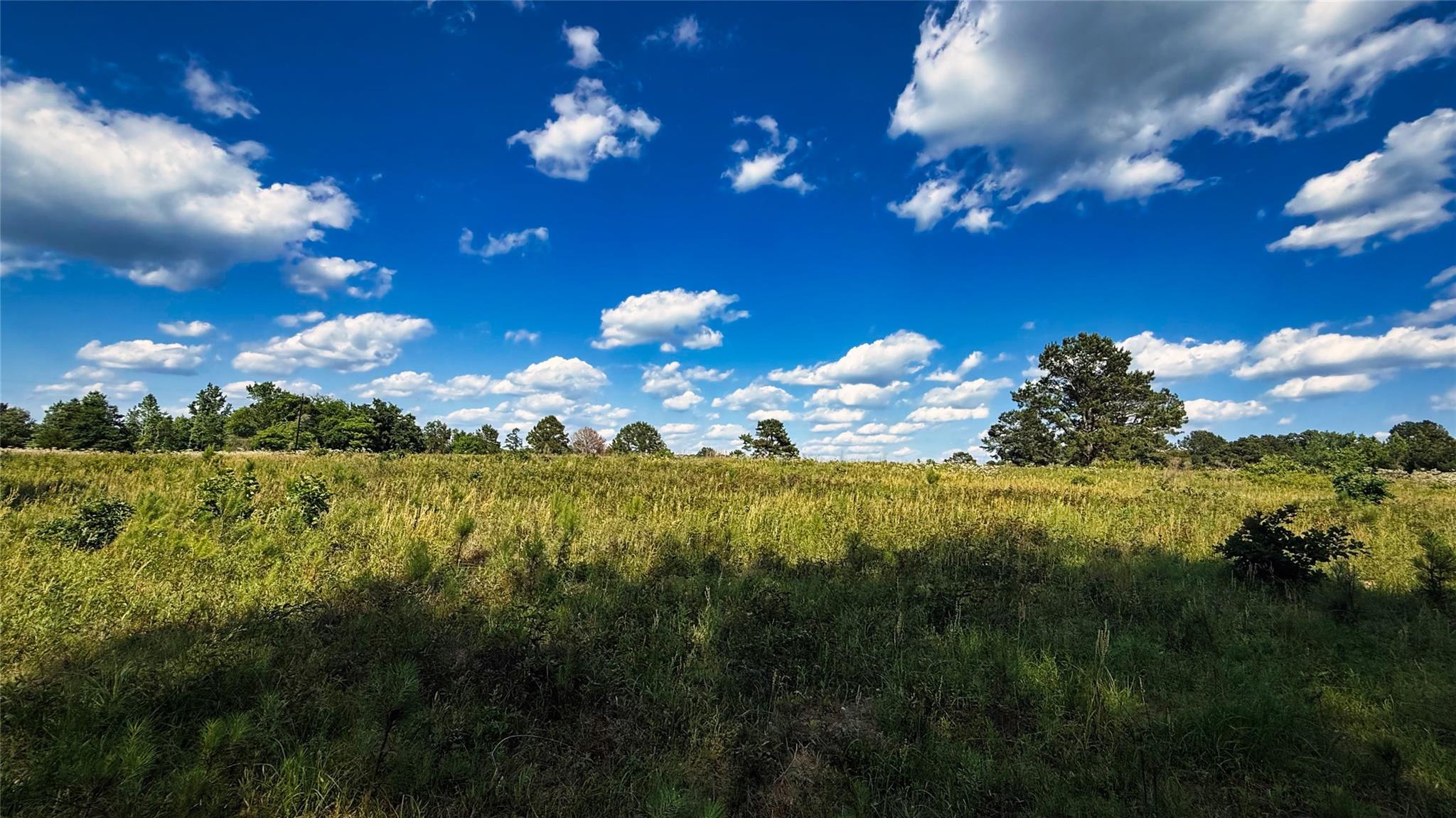 Land in Henderson 4