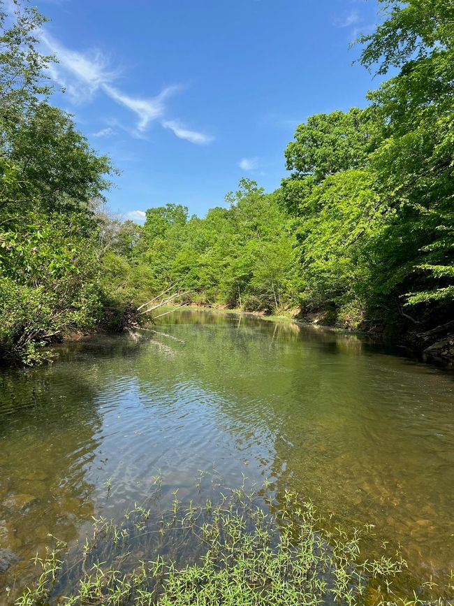 00 Silver Maple Rd, Home with 0 bedrooms, 0 bathrooms and null parking in Bee Branch AR | Image 5