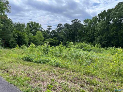 Lot #13 Country Cove Rd, Crossville, AL, 35962-3769 | Card Image