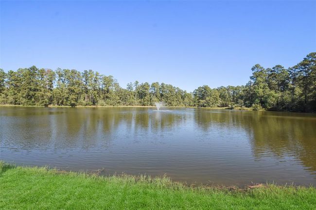 The lake attracts wildlife and birds | Image 4