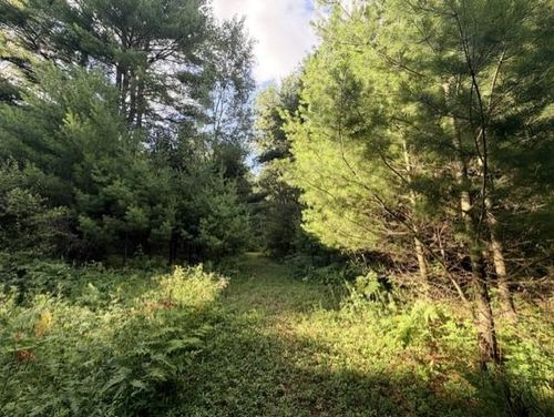 00 Timreck Rd, Tawas City, MI, 48763 | Card Image