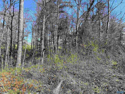 A Lot 9 Cardinal Dr, Guntersville, AL, 35976-5826 | Card Image