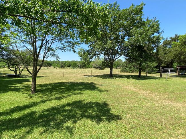 View of grassy yard | Image 5