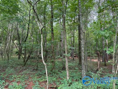 45 County Road 458, Collinsville, AL, 35961 | Card Image
