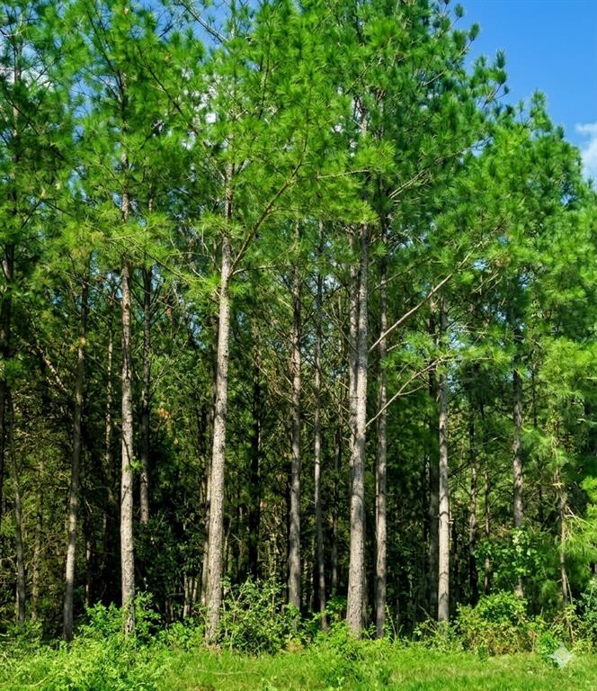 Land in Broken Bow 3