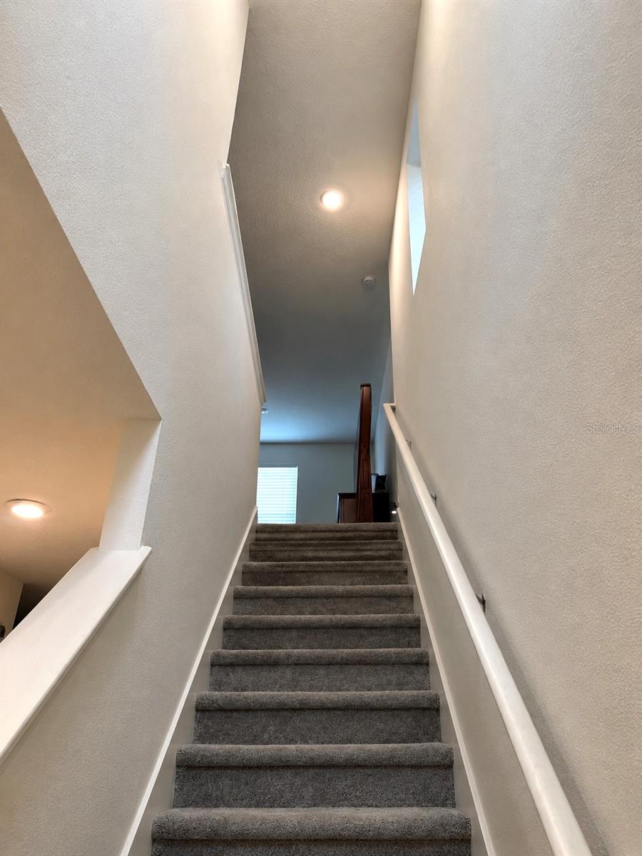 Residential Lease in PALMETTO 5