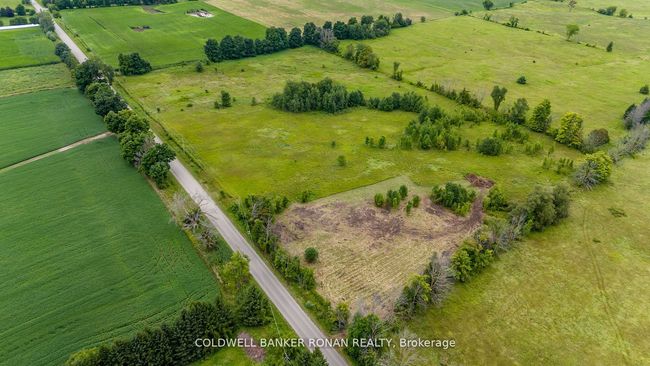 3185 Concession Rd 5, Home with 0 bedrooms, 0 bathrooms and null parking in Loretto ON | Image 7