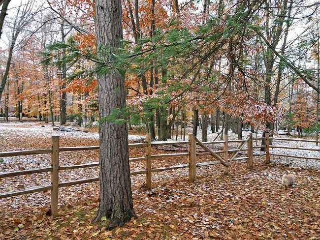 Fenced | Image 53