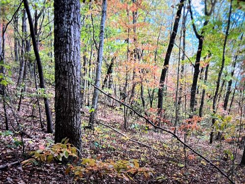 245 Hill Rd, Crossville, TN, 38572-3652 | Card Image