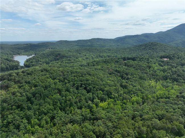 200 Maxorrick Loop, Home with 0 bedrooms, 0 bathrooms and null parking in Landrum SC | Image 6