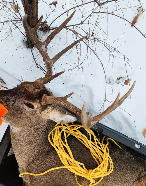 17 ACRES +/- Sherry Ridge Road, UTICA, WI, 54655 | Card Image