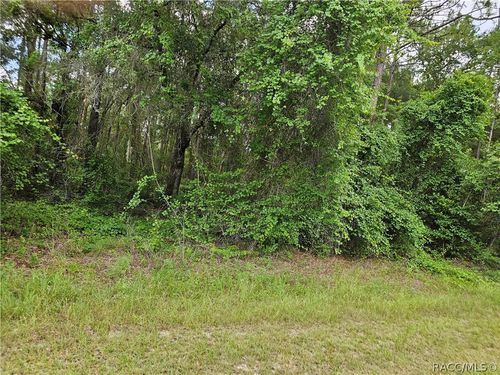 4912 E Cristen Court, Inverness, FL, 34452 | Card Image