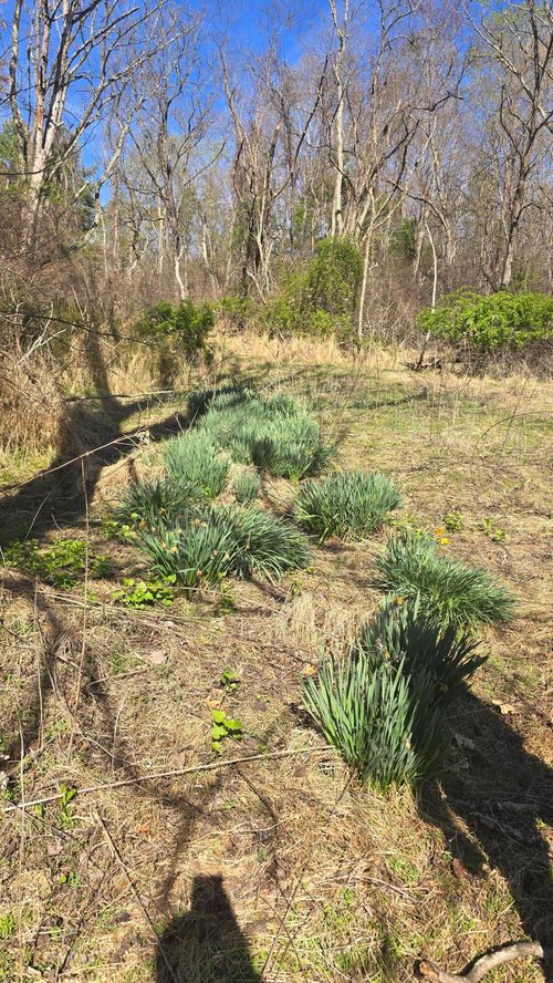 TBD Huffville Rd, Pilot, VA, 24138 | Card Image