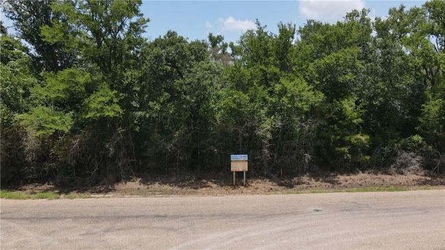 View of asphalt street | Image 8