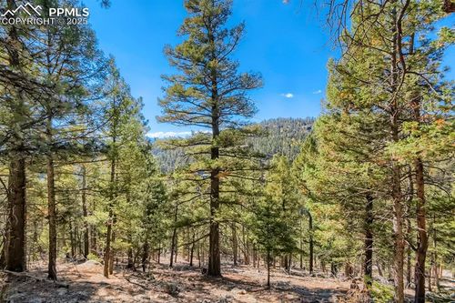 0 Elsie Rd, Conifer, CO, 80433 | Card Image