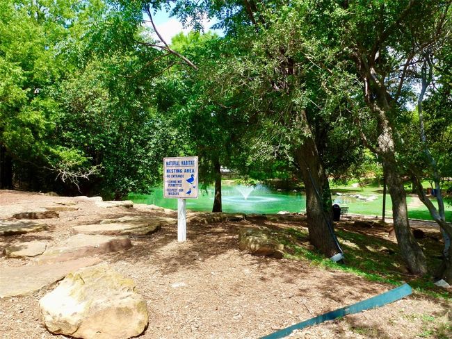 Pond with ducks close by | Image 36