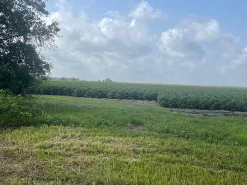 10815 Koym Rd, Beasley, TX, 77417-9757 | Card Image