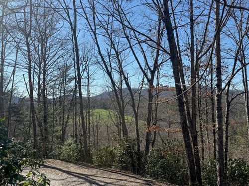 Lot 4 Willow Ridge Cir, Warne, NC, 28909-9124 | Card Image