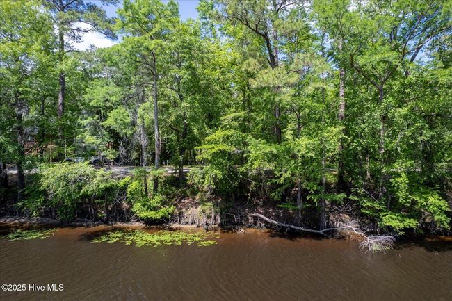 0 Riverview Dr, Home with 0 bedrooms, 0 bathrooms and null parking in Burgaw NC | Image 19