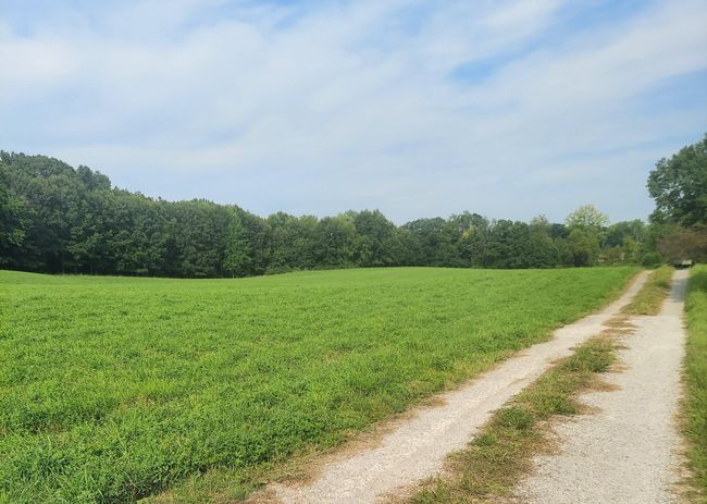 405 Buck Rd, Home with 2 bedrooms, 2 bathrooms and null parking in Coldwater MI | Image 10