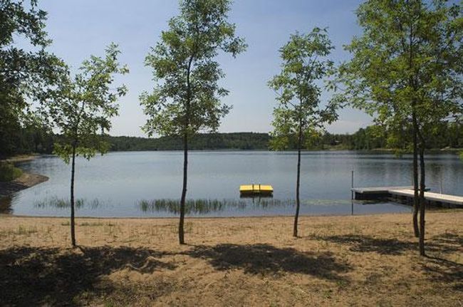 Red Pine beach | Image 18