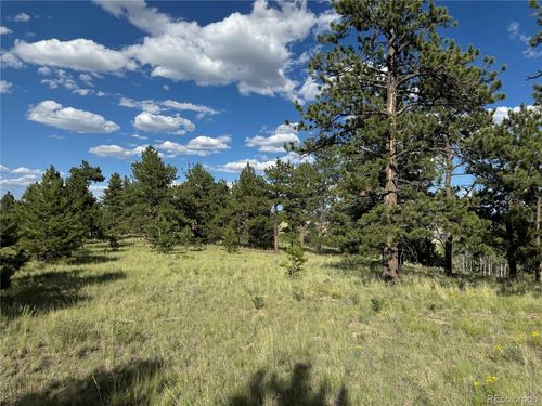 833 Angus Cir, HARTSEL, CO, 80449-8587 | Card Image