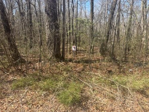 TRACT 9 Hwy 22a Hwy, Jacks Creek, TN, 38347 | Card Image