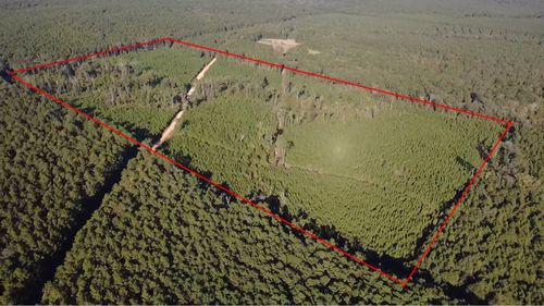 0 Packton Alexandria Rd, Winnfield, LA, 71483 | Card Image