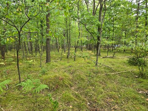 1009 Castle Dr, Weidman, MI, 48893-9366 | Card Image