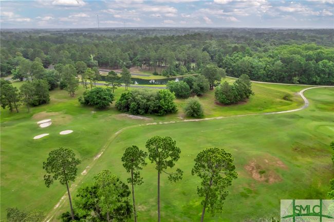 732 Coopers Point Dr Ne, Home with 0 bedrooms, 0 bathrooms and null parking in Townsend GA | Image 23