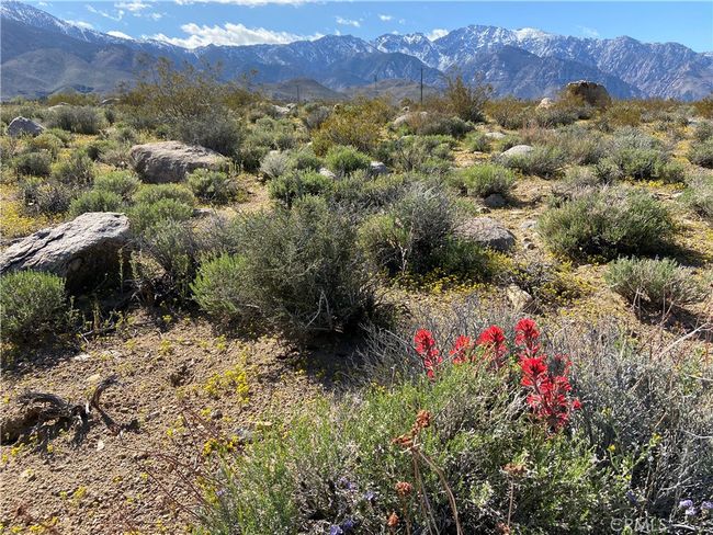 330 Sage Flats Dr, House other with 3 bedrooms, 2 bathrooms and 2 parking in Olancha CA | Image 53