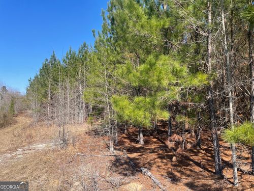 0002 Winchester, sylvania, GA, 30467 | Card Image
