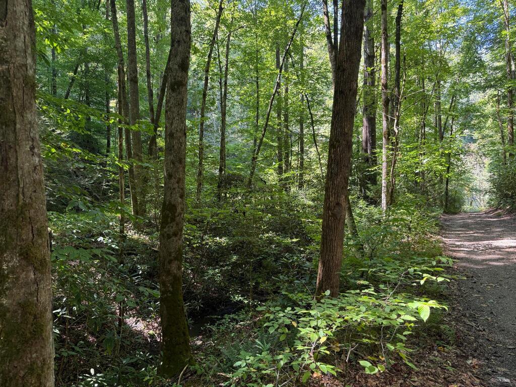 Land in Andrews 5