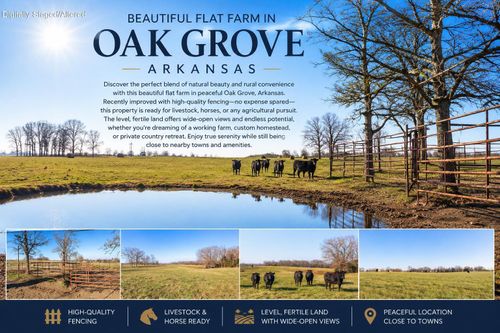 Tbd Honeysuckle Ln, Oak Grove, AR, 72660 | Card Image